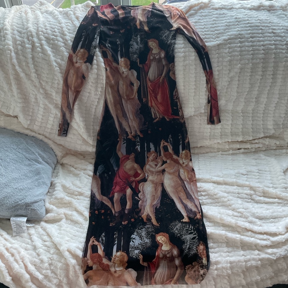 Dead stock Zara Botticelli primavera tulle dress